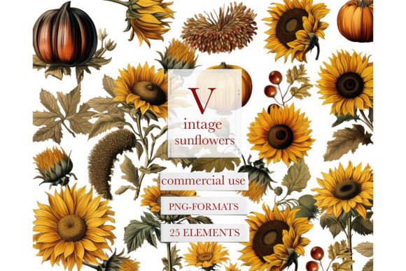 Download Vintage Watercolor Sunflower Clipart - Vintage watercolor Collection